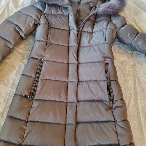 Jacket - Picture 5 of 16